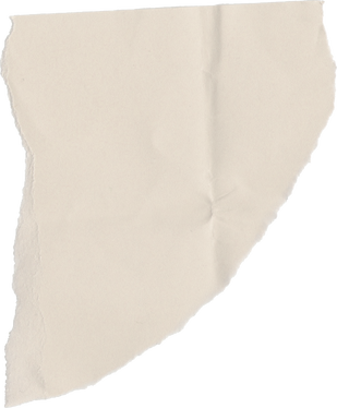 Ripped Paper Texture 